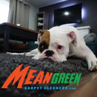 Mean Green Carpet Cleaners image 9